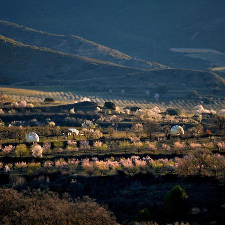 Mirador De Pideago - Gratal Y Nabiella Hotell Bolea Eksteriør bilde